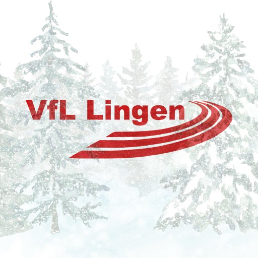 Lingener Emslandcross