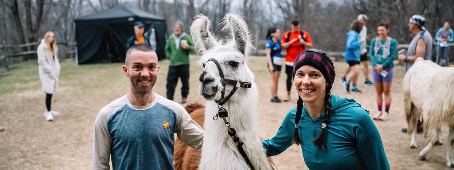 Llama Experience Ultra Logo