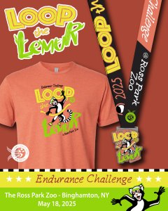 Loop the Lemur at the Ross Park Zoo Logo