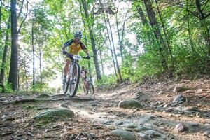 Lord of the Springs singletrack+gravel bike race Logo