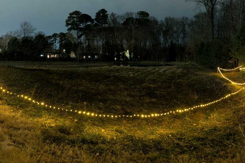 Lost in the Woods 5k (for St. Jude Children's Research Hospital) Logo