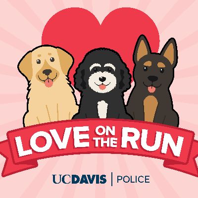 LOVE ON THE RUN K9 5K