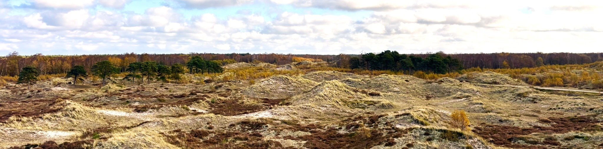 Læsø Trail gennem Natur Nationalparken 2027