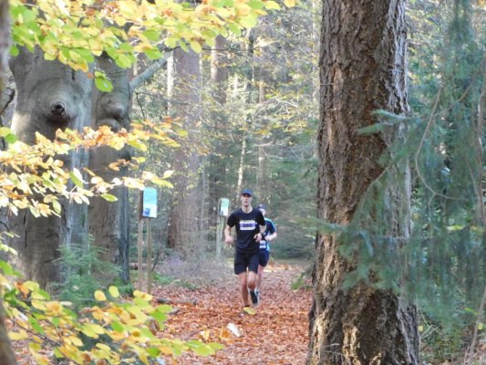 Maarten Maartens Trailrun