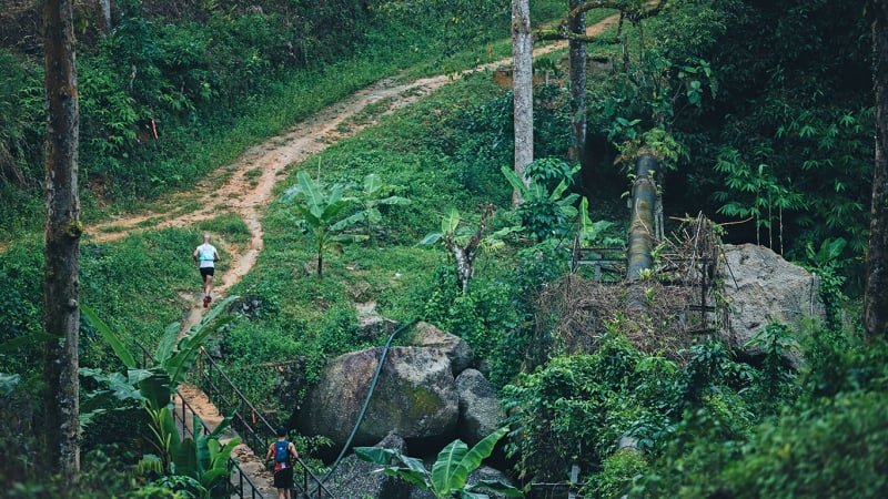 Malaysia Ultra-Trail by UTMB - MY100