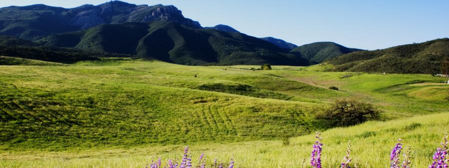 Malibu Canyon Trail Races