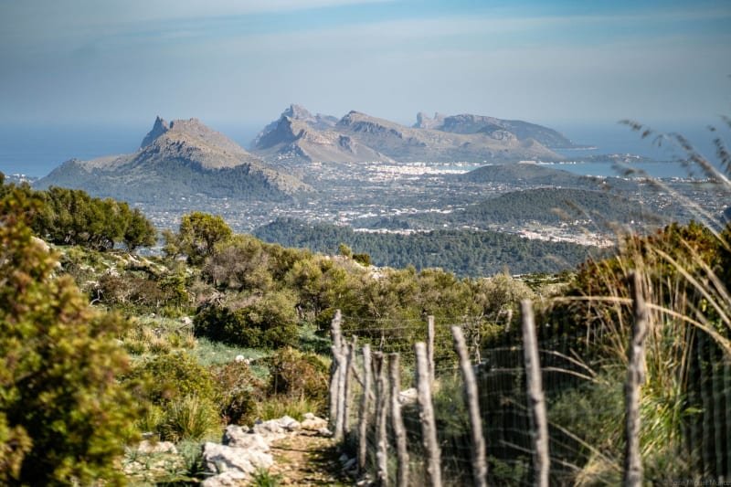 Mallorca by UTMB - Serra de Tramuntana  (SDT) Logo