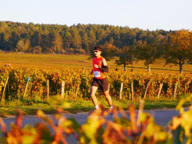Marathon des Grands Crus Logo