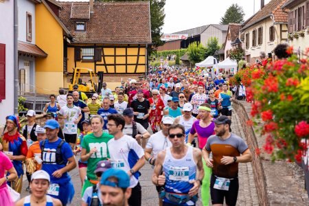 Marathon du Vignoble d'Alsace Logo