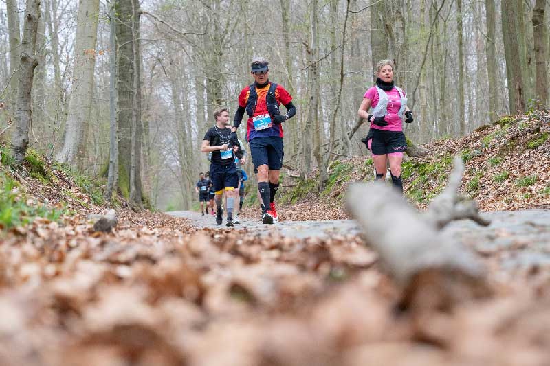 Marathon Forêt de Soignes