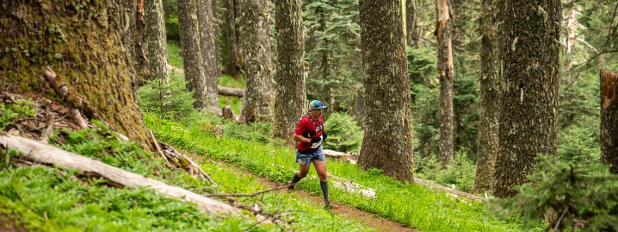 Marys Peak Trail Run
