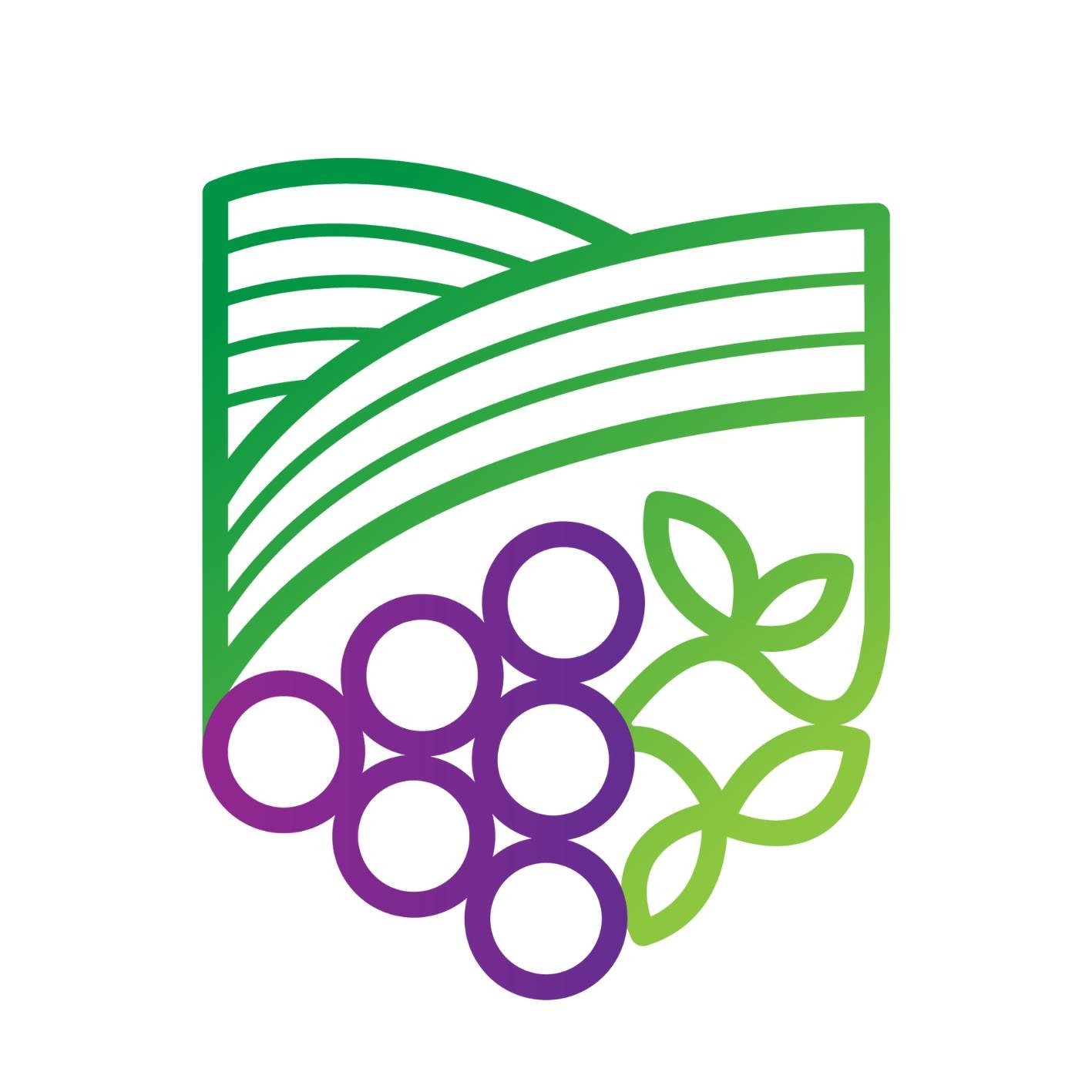 McLaren Vale Marathon Logo