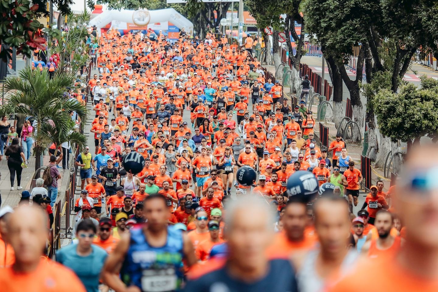Media Maratón de Bucaramanga - FCV Logo