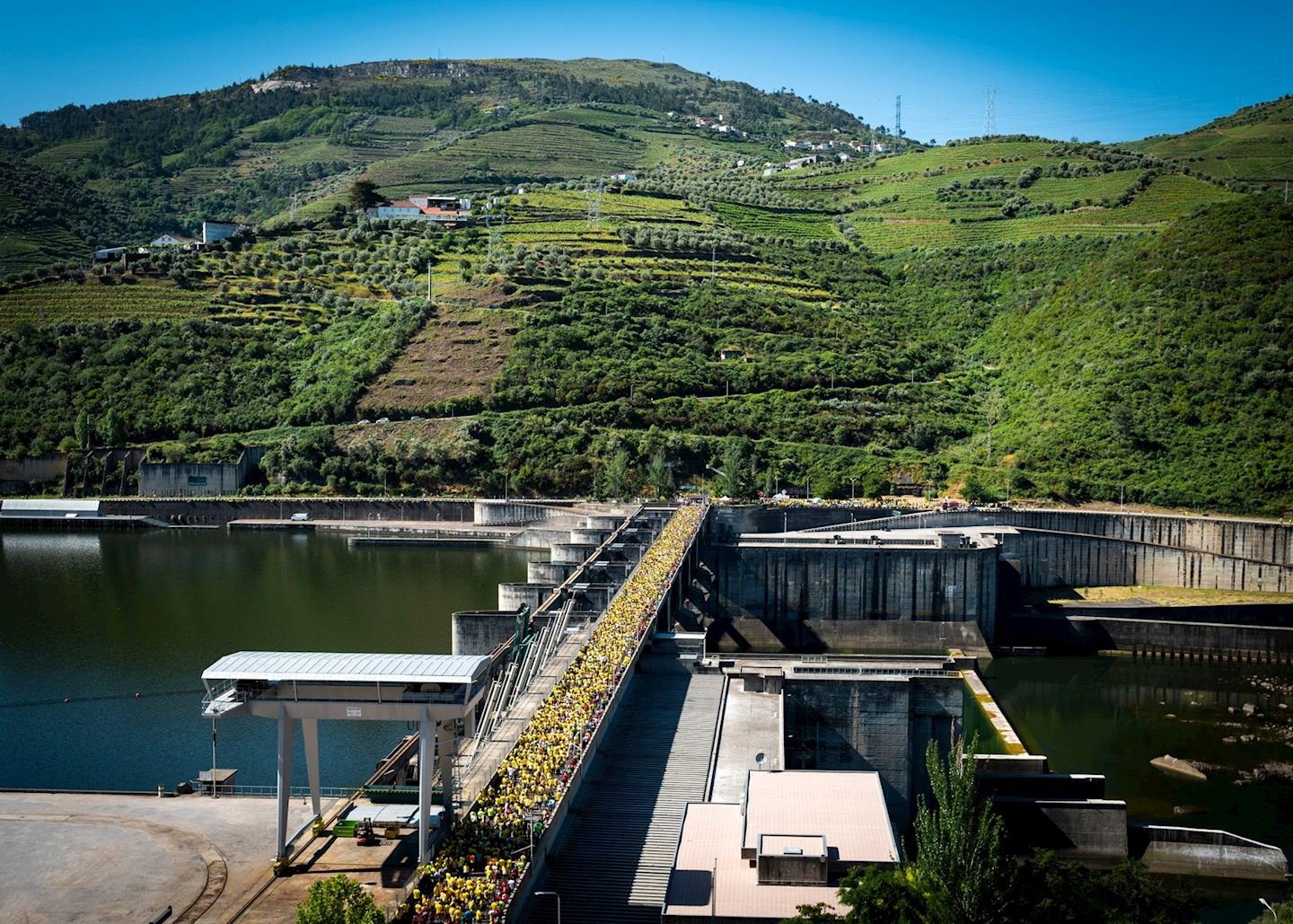 Meia Maratona do Douro Vinhateiro Logo