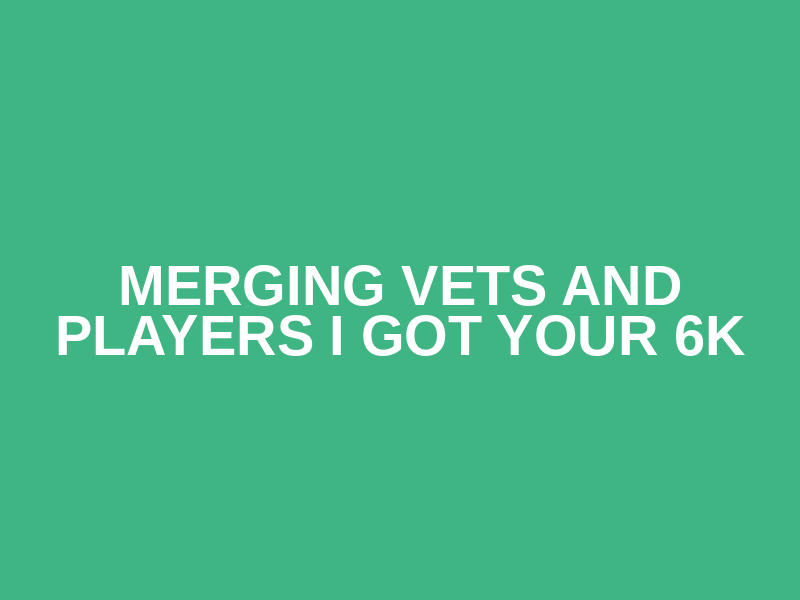 Merging Vets and Players I Got Your 6K Logo
