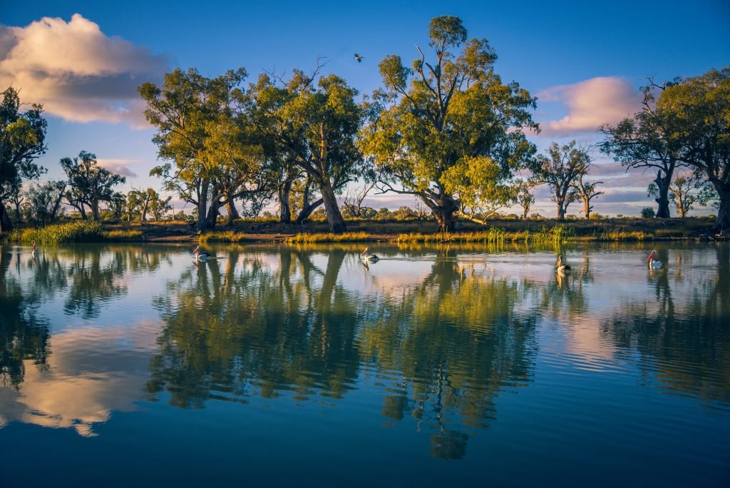 Mildura Riverfront Marathon Logo