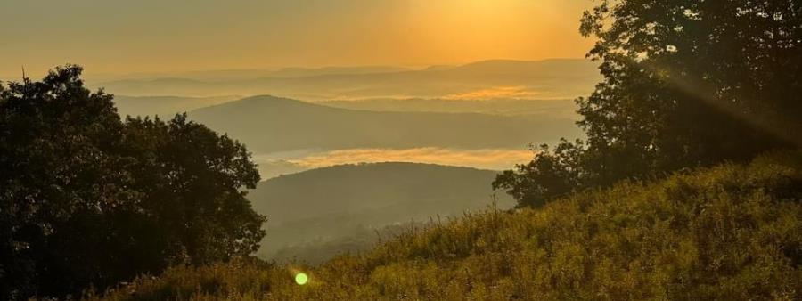 Miller Mountain Trail Challenge Logo