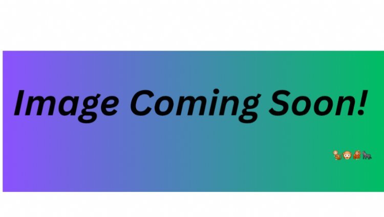 Mizaru Challenge Day 1 Logo