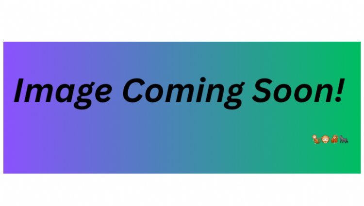 Mizaru Challenge Day 2 Logo