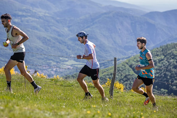 Molló Trail