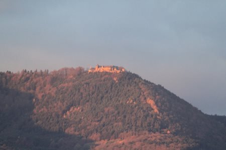 Montée du Mont Ste Odile à la Marche Logo