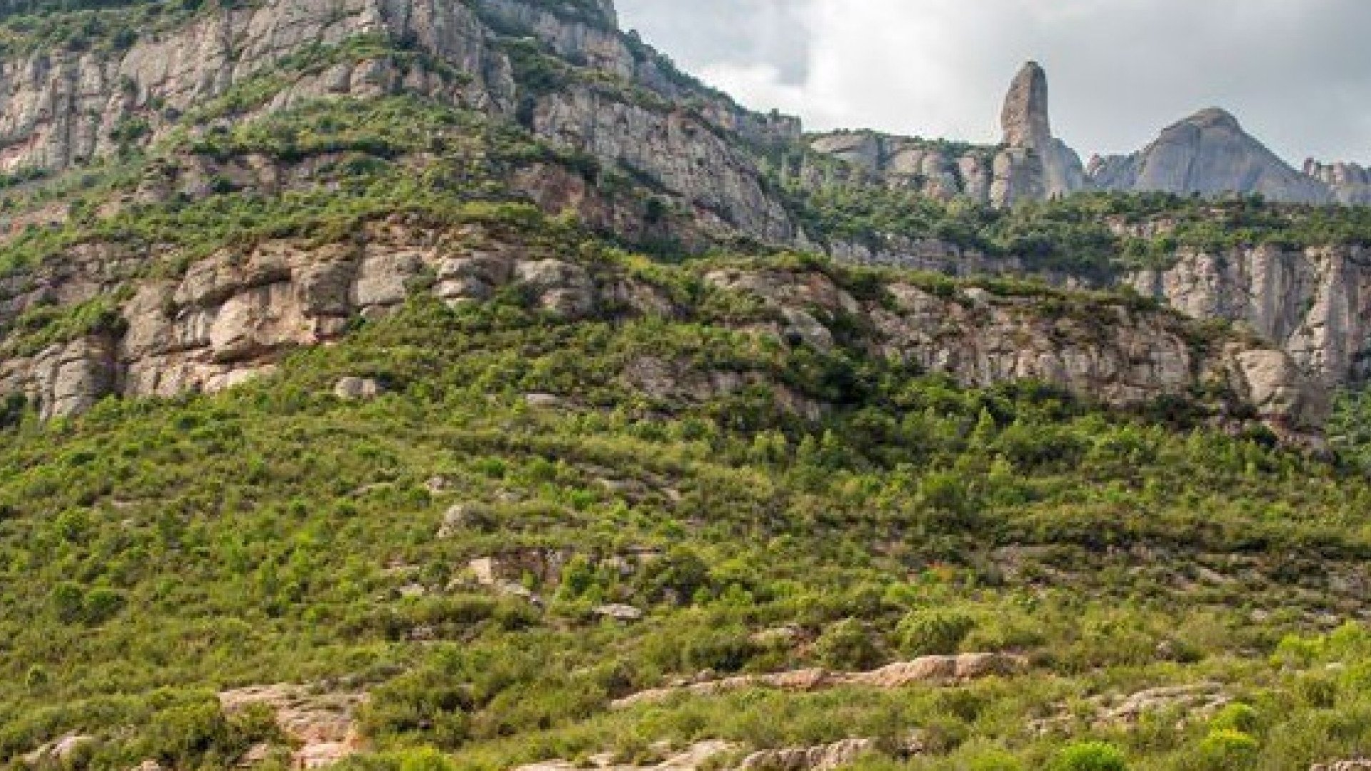 Montserrat Mountains Trail Weekend 2026 Logo