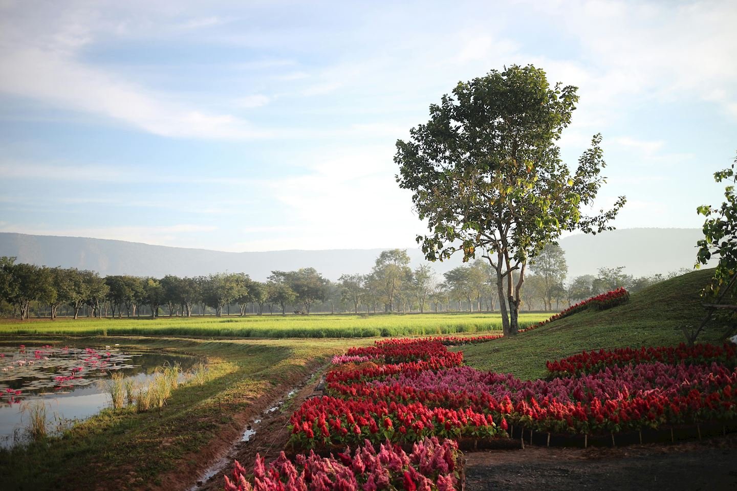 Mountain Breeze Nakhon Nayok
