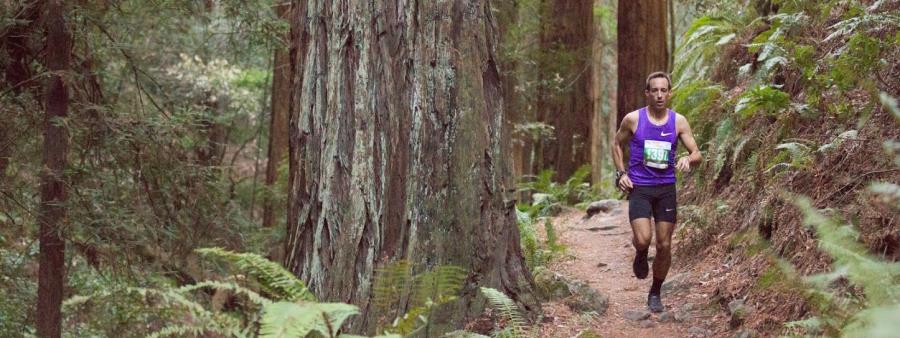 Mt. Tam Trail Run Logo