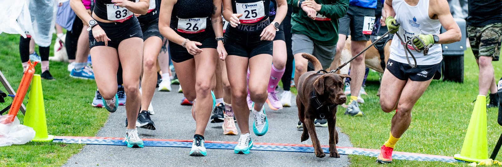 Muddy Paws 5k