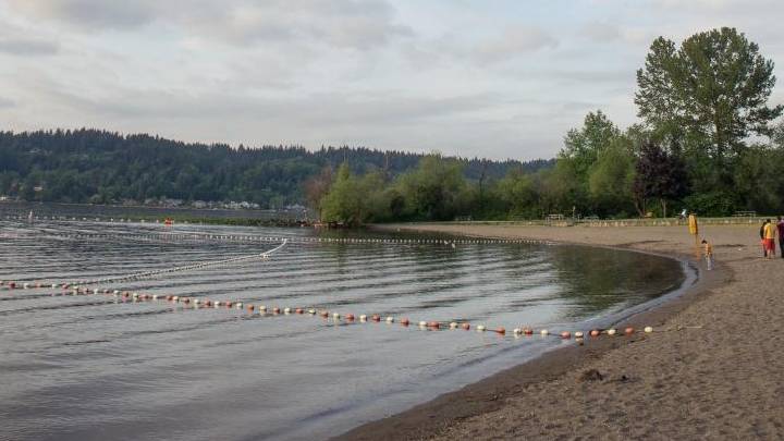 Mudskipper US Sammamish Open Water Swim - Seattle