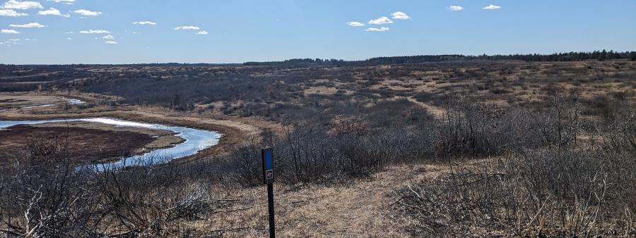 NCTRaces: Bird Sanctuary