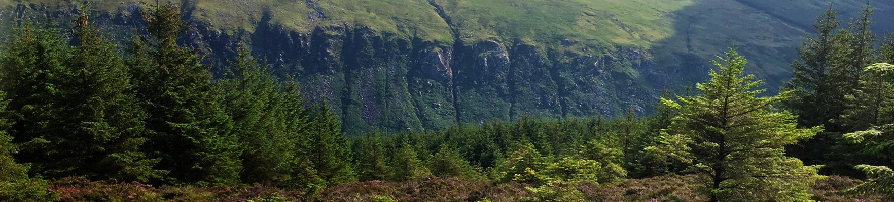 Night Challenge 4: Glendalough