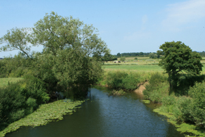 North Dorset Marathon Logo