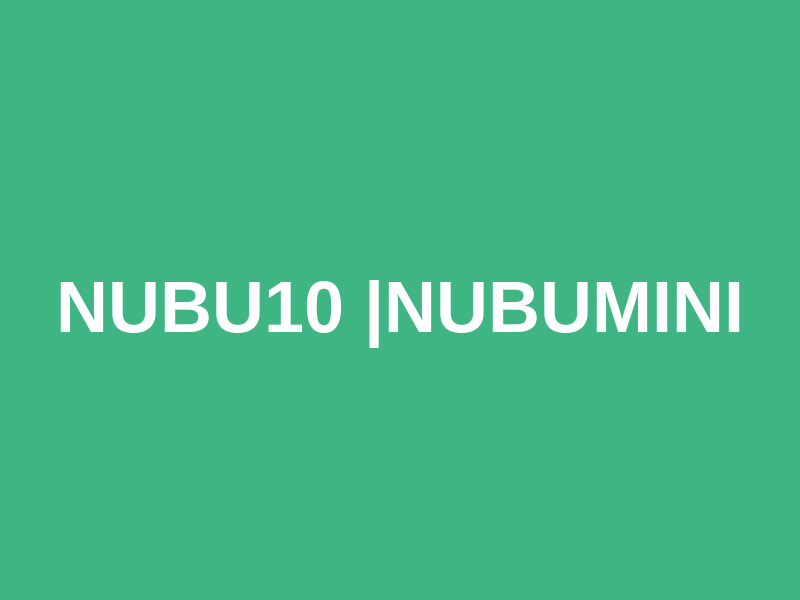 NUBU10 |NUBUmini Logo