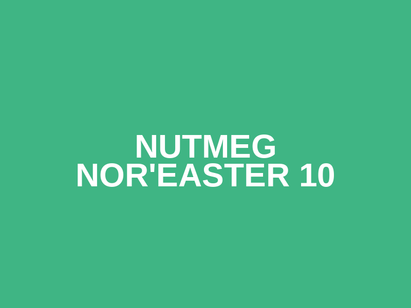Nutmeg Nor'Easter 10