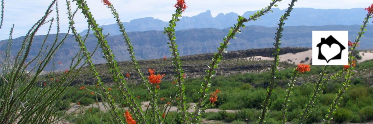 Ocotillo Trail Endurance Challenge