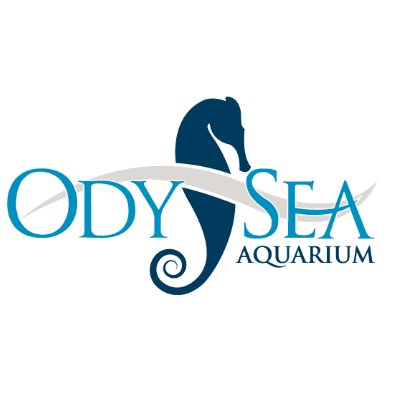 OdySea "Aquari-RUN" 5K
