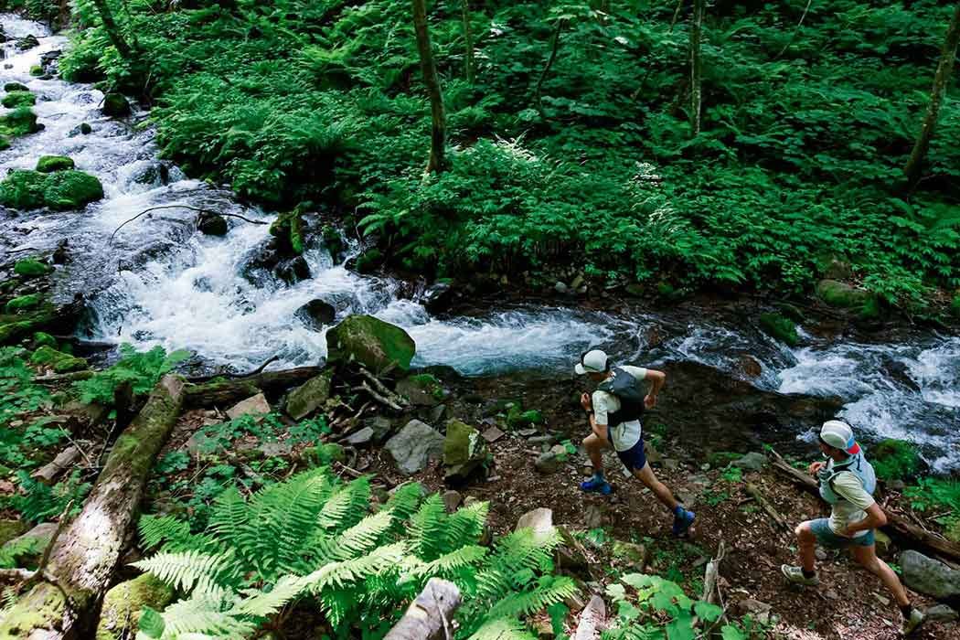Okushinano 100 Trail Running Race Logo