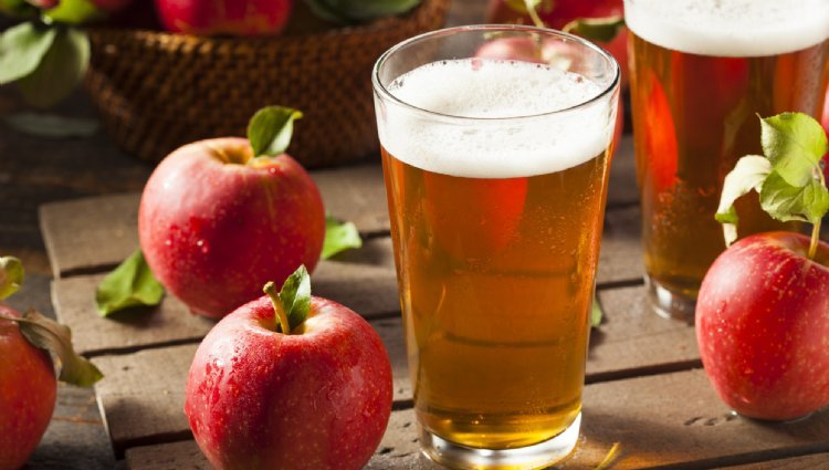 ON TOUR - Cider Camping Weekend (2027) Logo