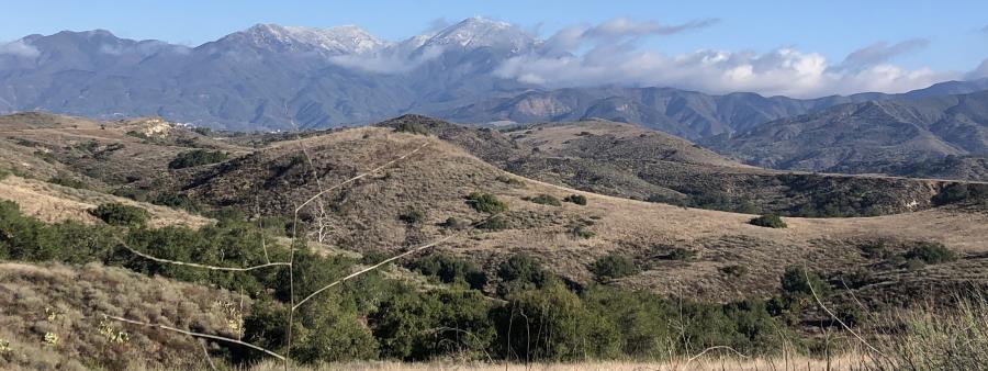 O'Neill Park Trail Races