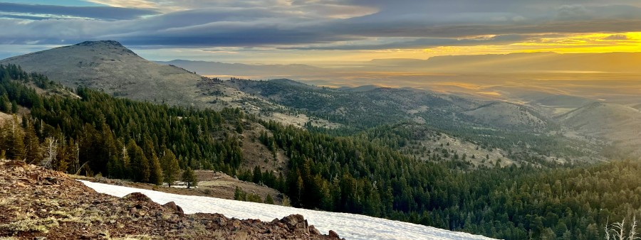 Oregon Outback 230