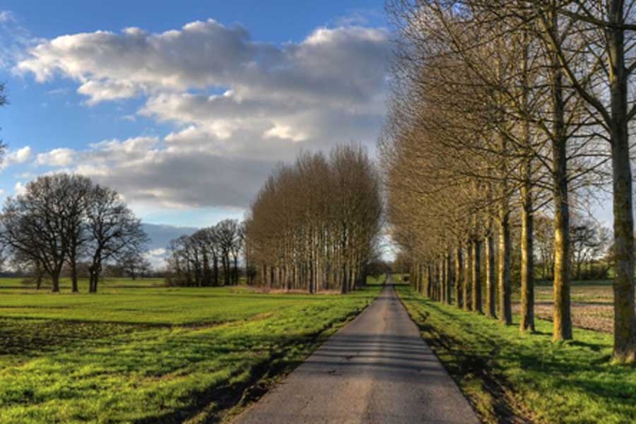 Oundle 20 Mile, 10K & 5K Logo