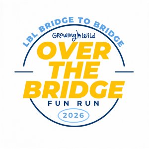 Over the Bridge Fun Run