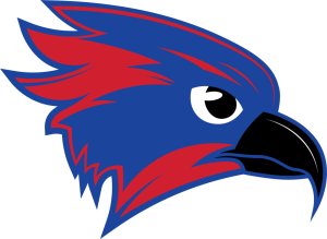 Owego Night Invite