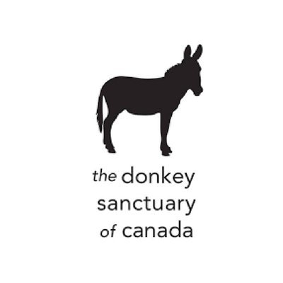 PACE FOR THE DONKEYS 5k TRAIL RUN 2026 Logo