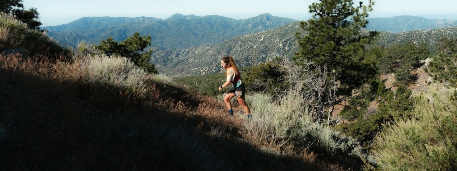 Pacifico Ultra Logo