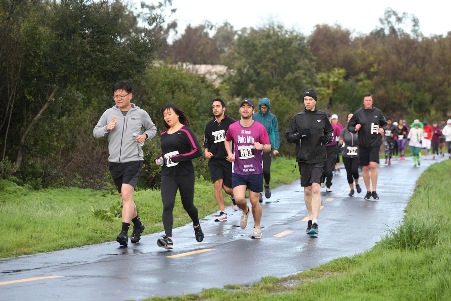 Palo Alto 10K, 5K Run/Walk and Double 15K Logo