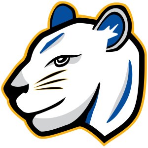 Panther Dash 2026 Logo