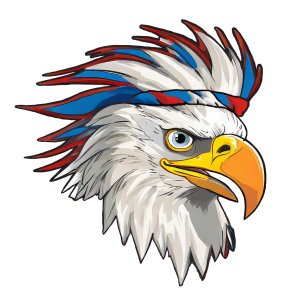 Party in the USA 5K Logo