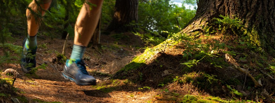 Paul Smiths Trail Running Festival
